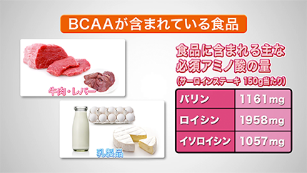 BCAAが含まれている食品